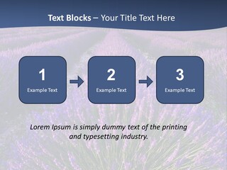 Blooming Lavender Scenic PowerPoint Template