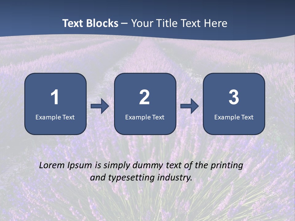 Blooming Lavender Scenic PowerPoint Template