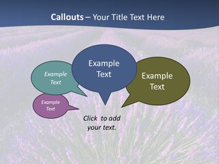 Blooming Lavender Scenic PowerPoint Template