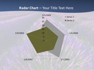 Blooming Lavender Scenic PowerPoint Template