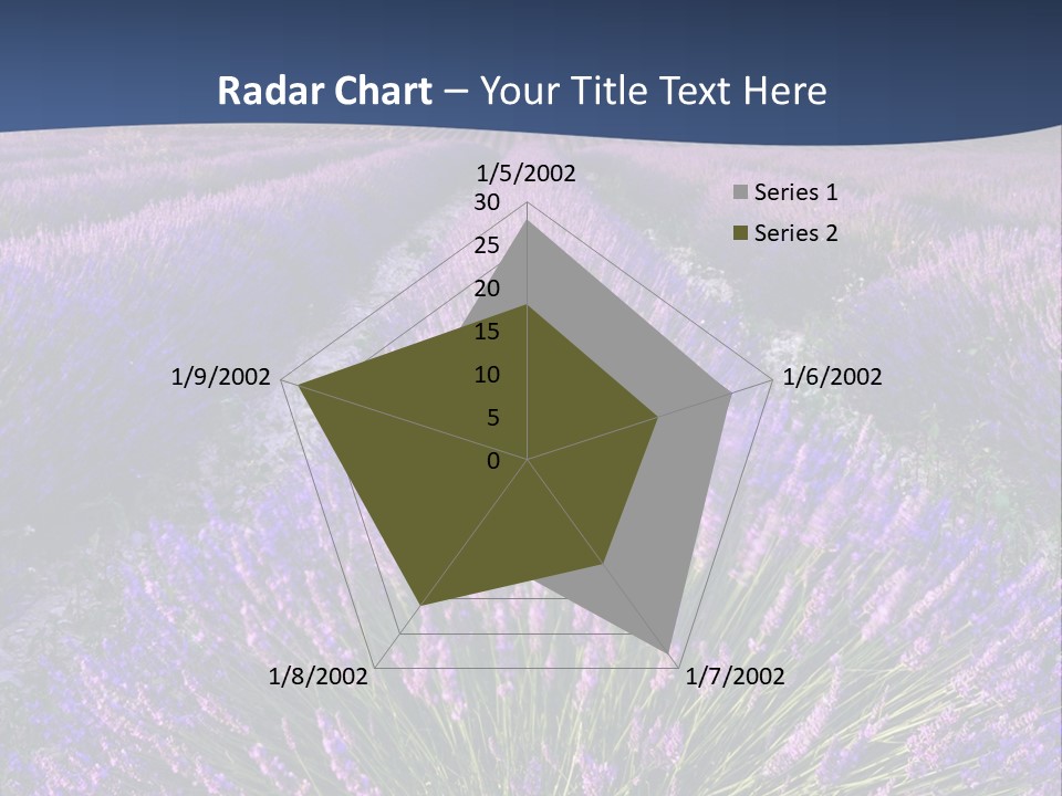 Blooming Lavender Scenic PowerPoint Template
