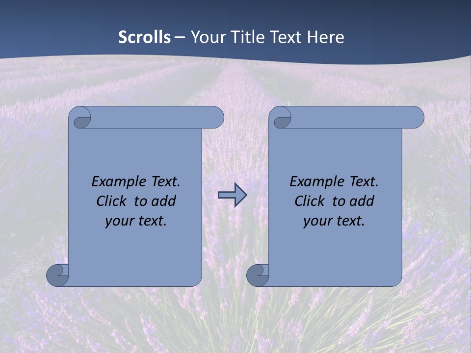 Blooming Lavender Scenic PowerPoint Template