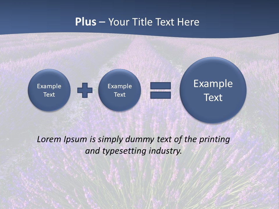 Blooming Lavender Scenic PowerPoint Template