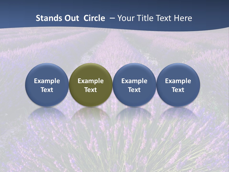 Blooming Lavender Scenic PowerPoint Template