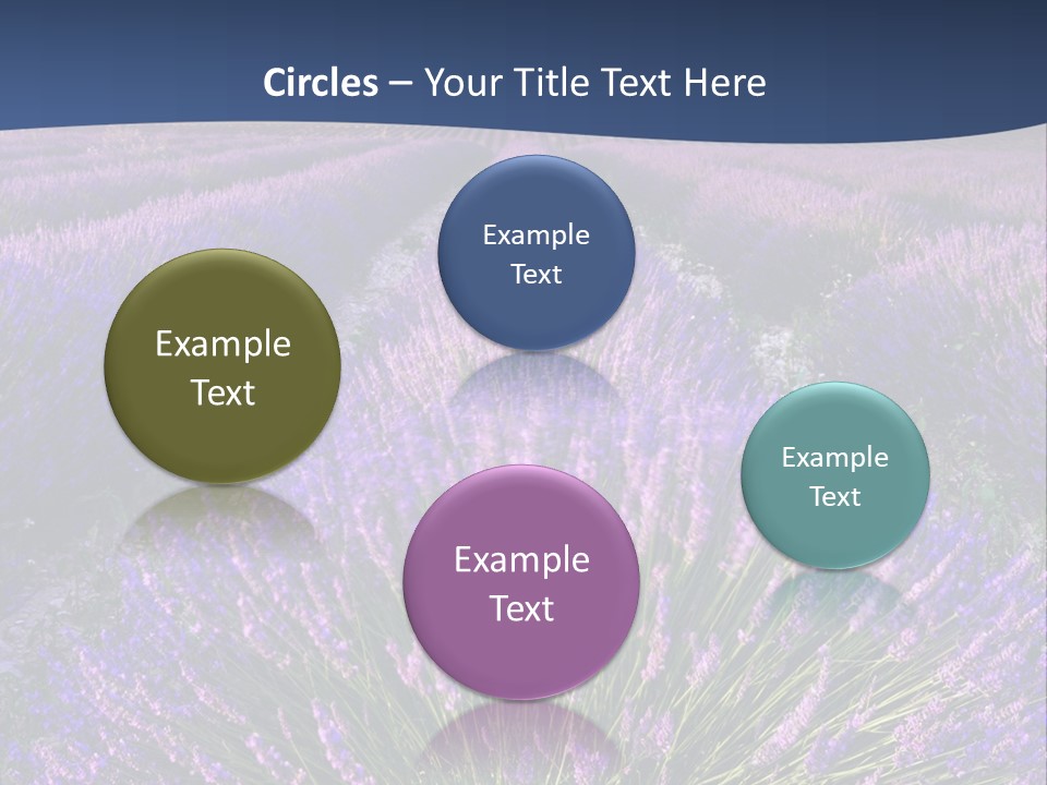 Blooming Lavender Scenic PowerPoint Template