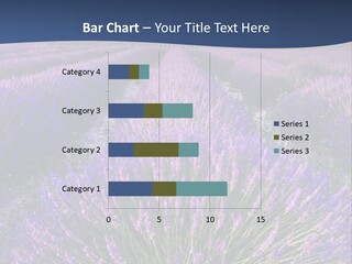 Blooming Lavender Scenic PowerPoint Template