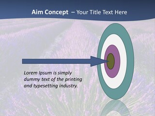 Blooming Lavender Scenic PowerPoint Template