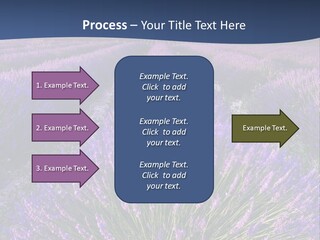 Blooming Lavender Scenic PowerPoint Template