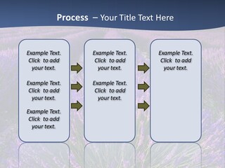 Blooming Lavender Scenic PowerPoint Template