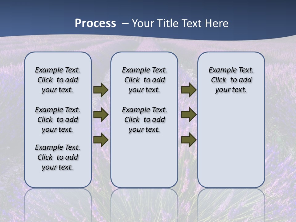 Blooming Lavender Scenic PowerPoint Template