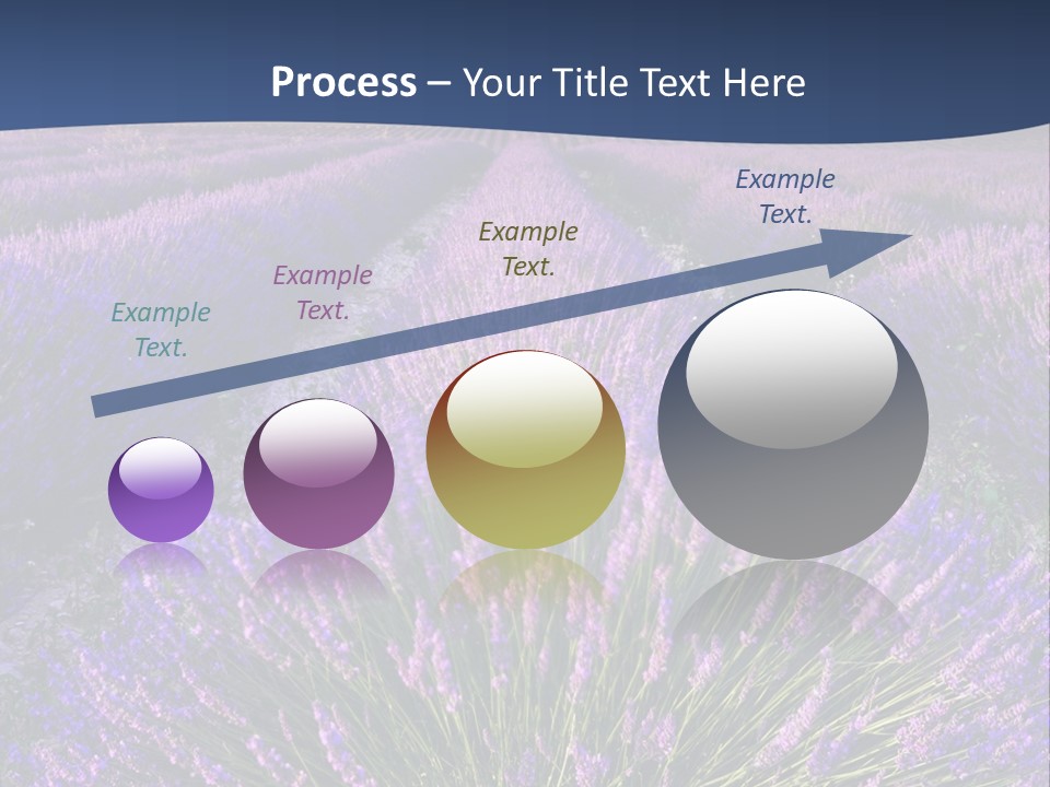 Blooming Lavender Scenic PowerPoint Template