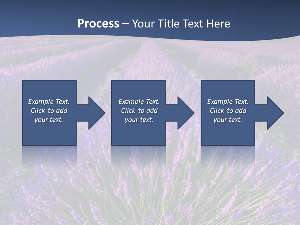 Blooming Lavender Scenic PowerPoint Template