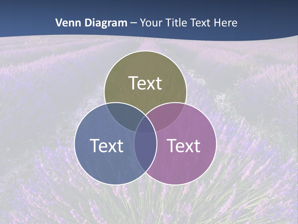Blooming Lavender Scenic PowerPoint Template