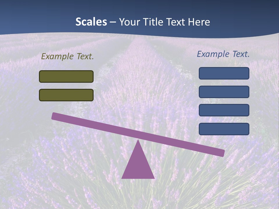 Blooming Lavender Scenic PowerPoint Template