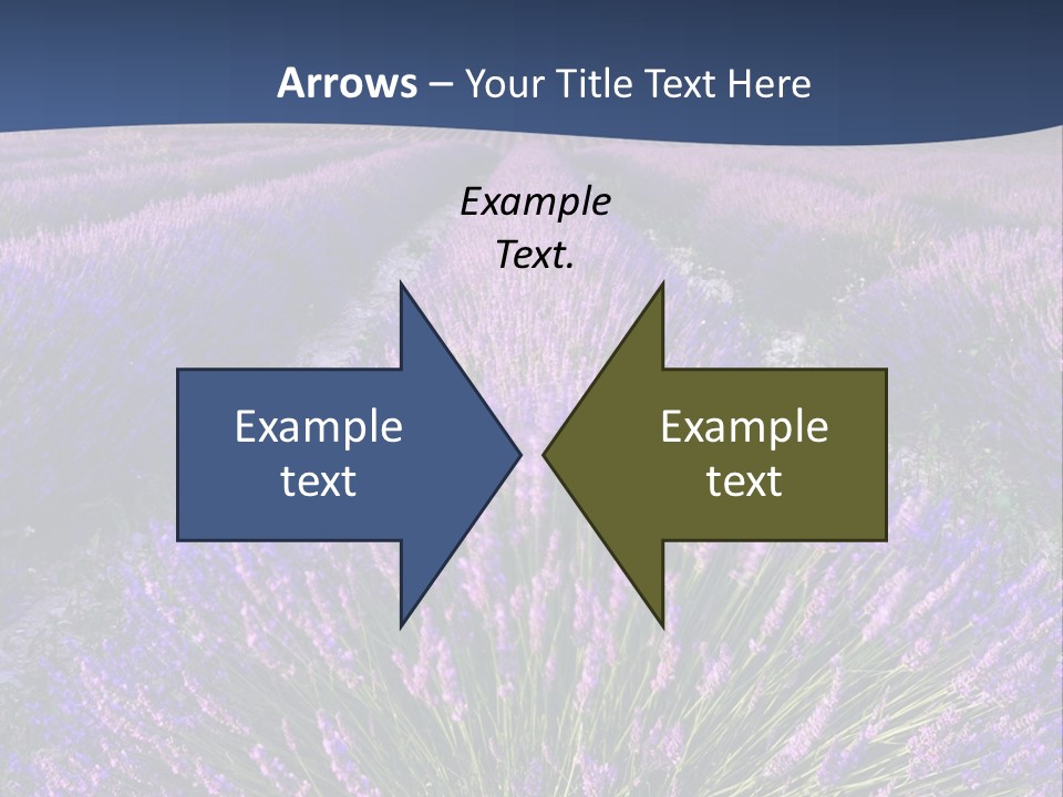 Blooming Lavender Scenic PowerPoint Template