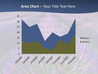 Blooming Lavender Scenic PowerPoint Template
