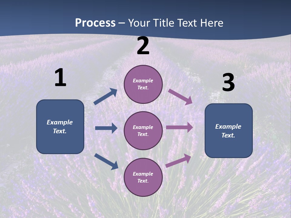 Blooming Lavender Scenic PowerPoint Template