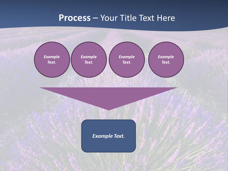 Blooming Lavender Scenic PowerPoint Template