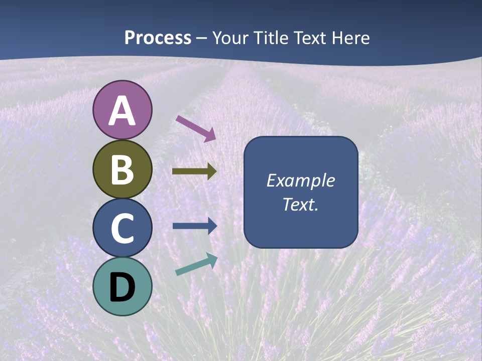 Blooming Lavender Scenic PowerPoint Template