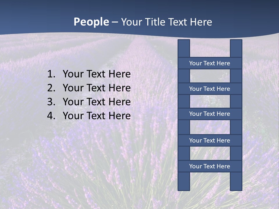 Blooming Lavender Scenic PowerPoint Template