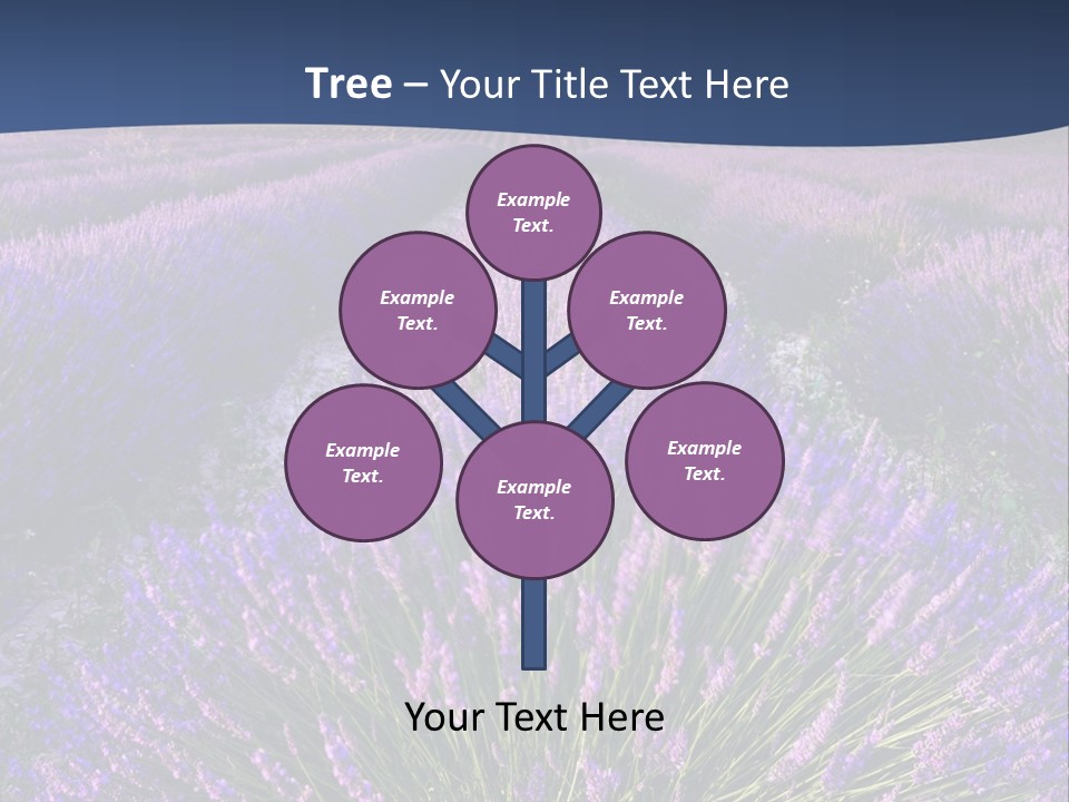Blooming Lavender Scenic PowerPoint Template