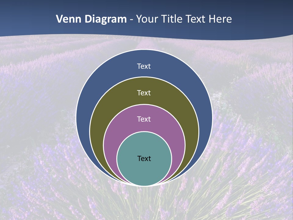 Blooming Lavender Scenic PowerPoint Template