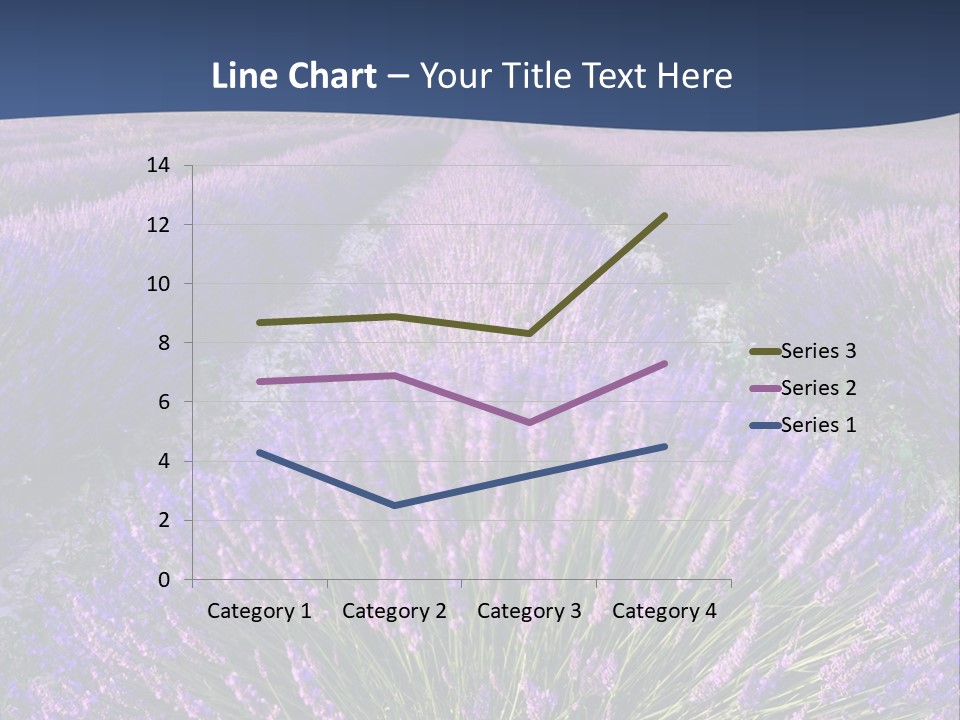 Blooming Lavender Scenic PowerPoint Template