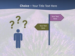 Blooming Lavender Scenic PowerPoint Template