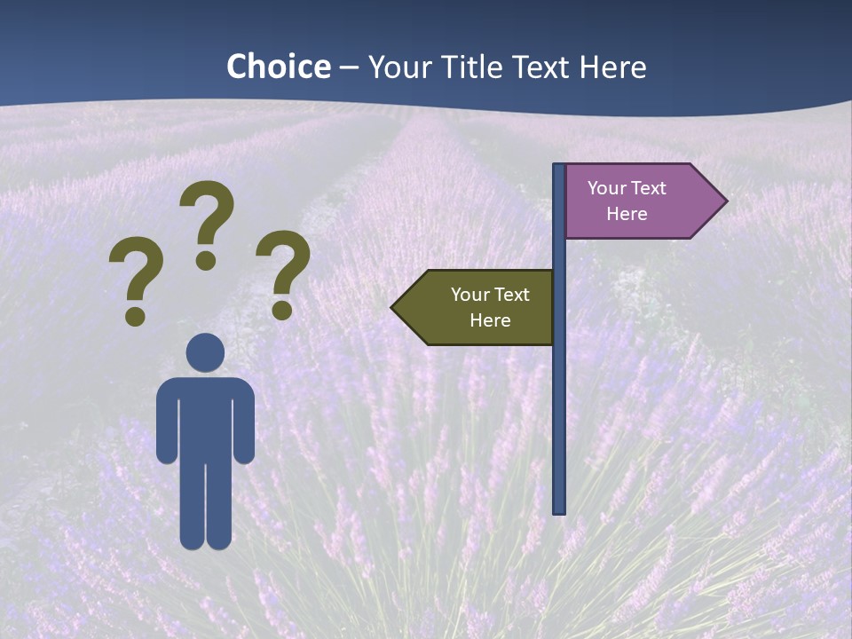 Blooming Lavender Scenic PowerPoint Template