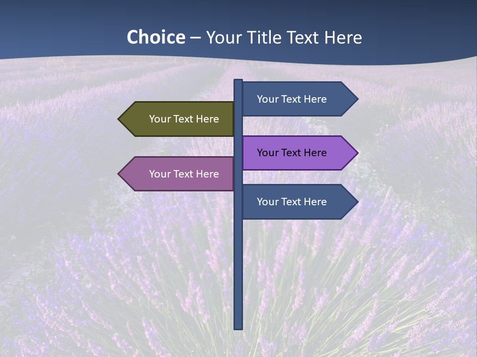 Blooming Lavender Scenic PowerPoint Template