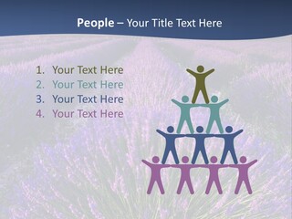 Blooming Lavender Scenic PowerPoint Template