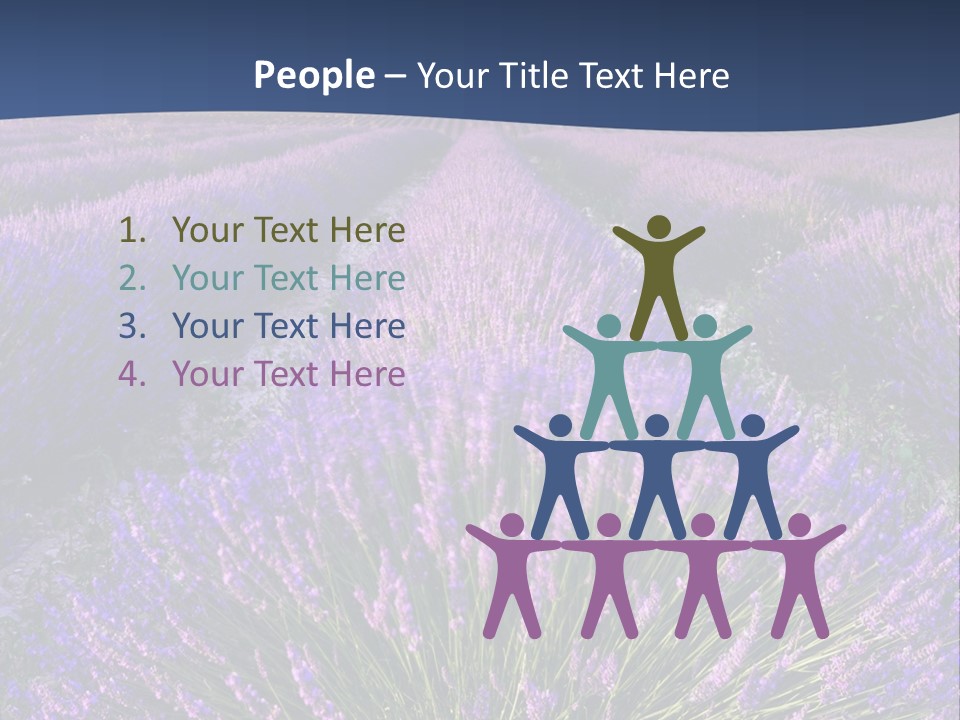 Blooming Lavender Scenic PowerPoint Template