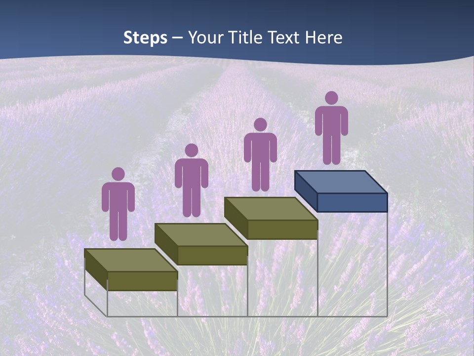 Blooming Lavender Scenic PowerPoint Template