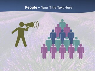 Blooming Lavender Scenic PowerPoint Template