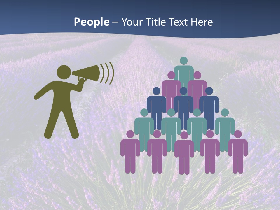 Blooming Lavender Scenic PowerPoint Template