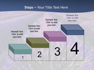 Blooming Lavender Scenic PowerPoint Template