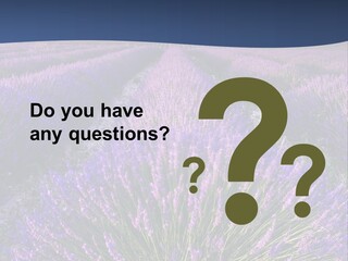 Blooming Lavender Scenic PowerPoint Template