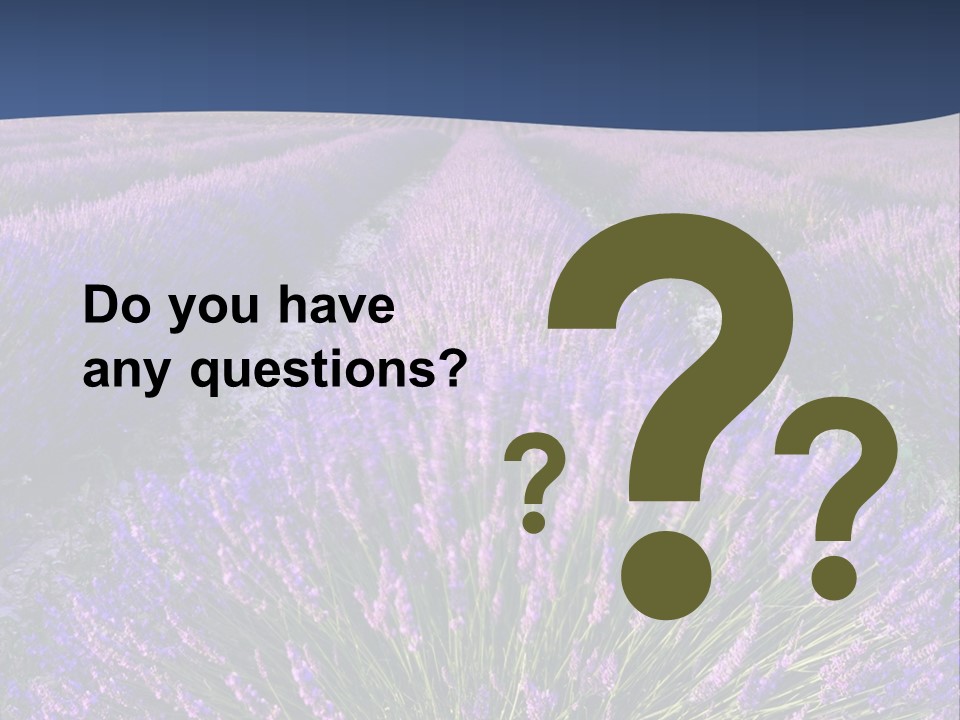 Blooming Lavender Scenic PowerPoint Template