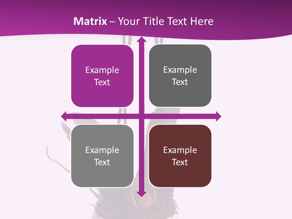 Brown Religion View PowerPoint Template