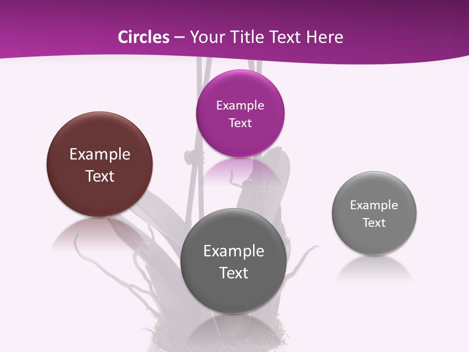 Brown Religion View PowerPoint Template