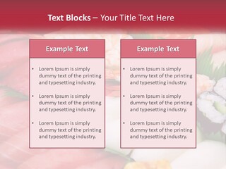 Ikura Traditional Fish PowerPoint Template