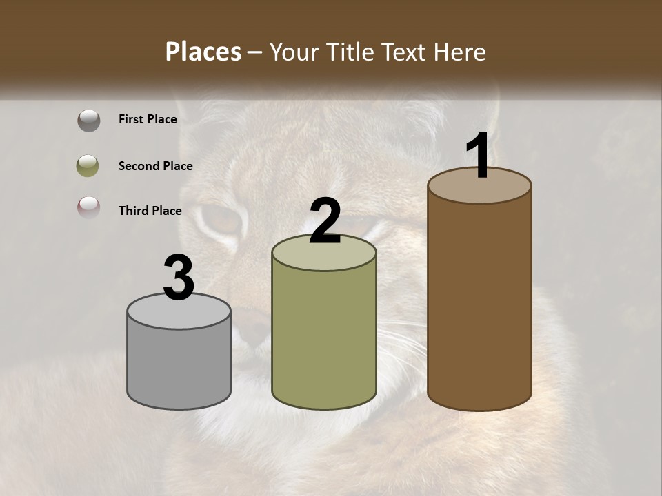 Hunter Nature Wildlife PowerPoint Template