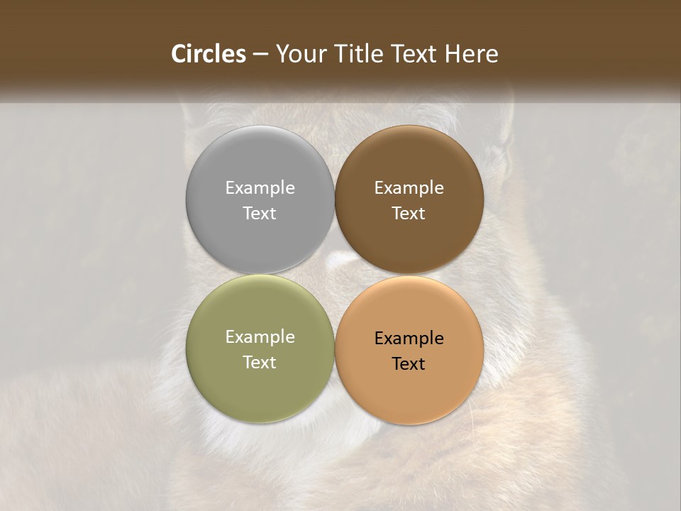 Hunter Nature Wildlife PowerPoint Template