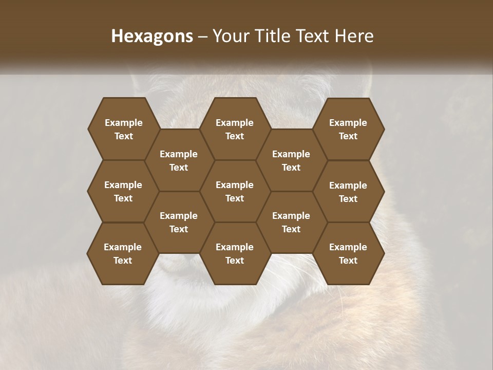 Hunter Nature Wildlife PowerPoint Template