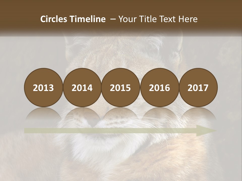 Hunter Nature Wildlife PowerPoint Template