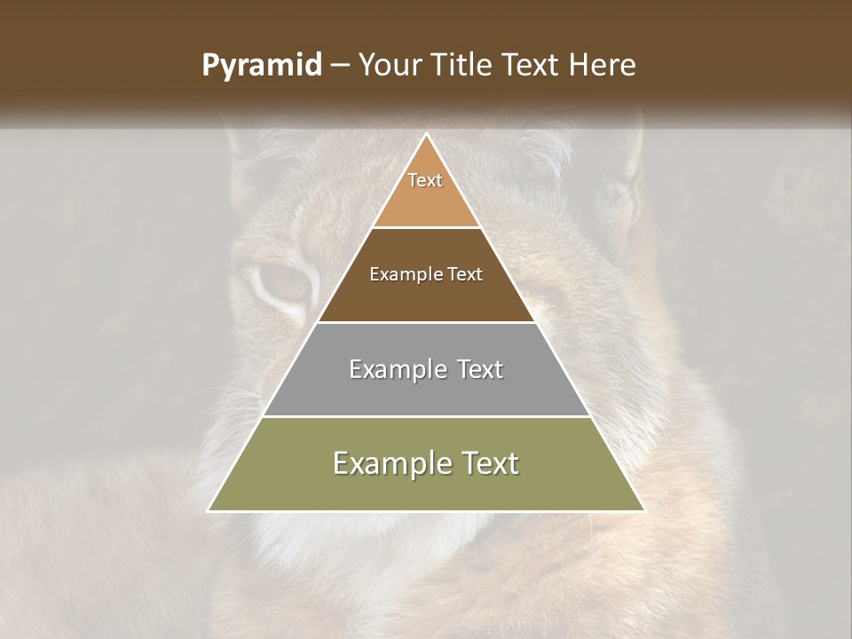 Hunter Nature Wildlife PowerPoint Template