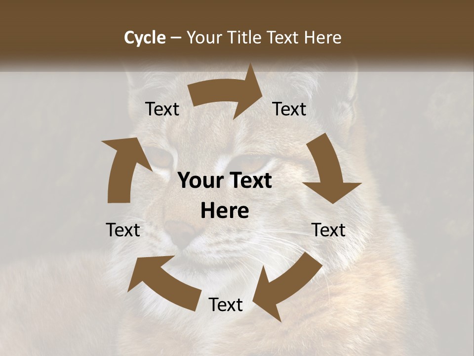 Hunter Nature Wildlife PowerPoint Template