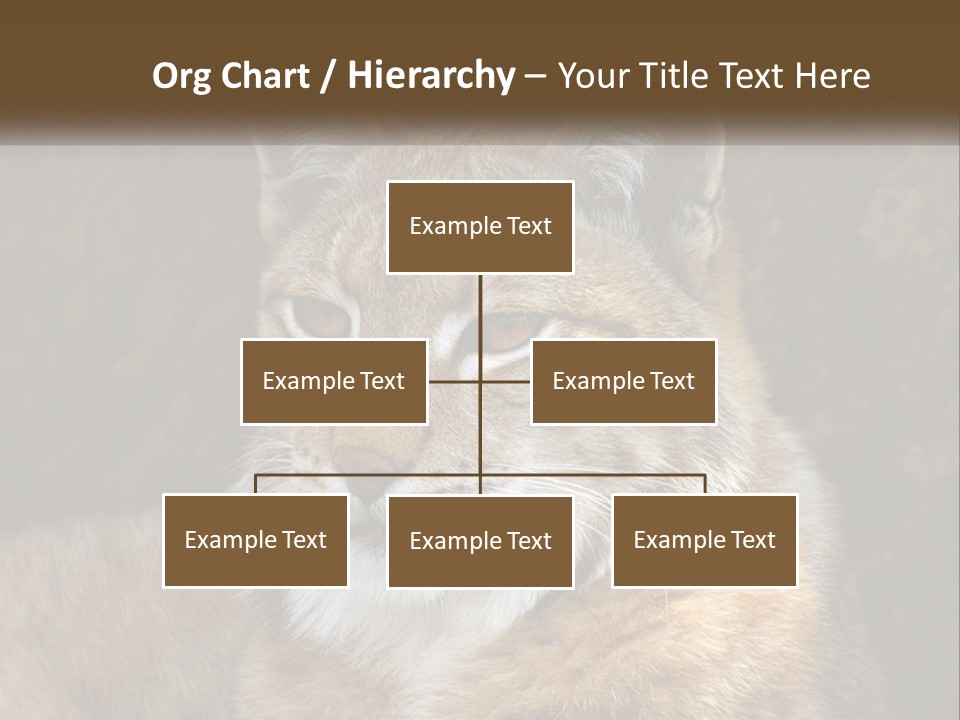 Hunter Nature Wildlife PowerPoint Template