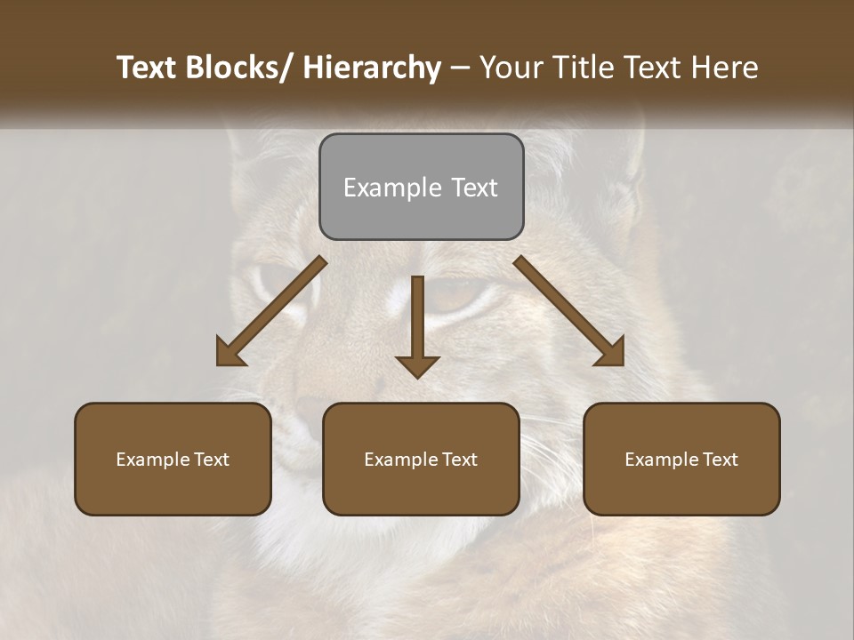 Hunter Nature Wildlife PowerPoint Template