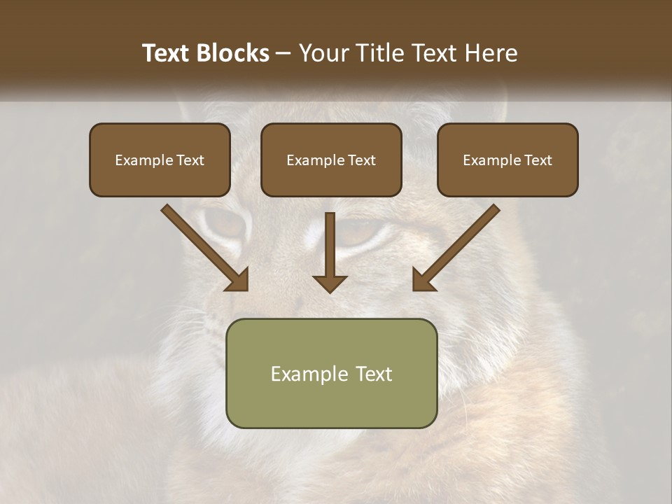 Hunter Nature Wildlife PowerPoint Template